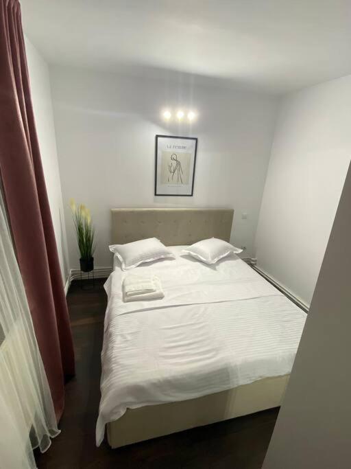 Bistriţa Eda Apartment מראה חיצוני תמונה
